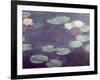 Waterlilies-Claude Monet-Framed Giclee Print