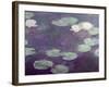 Waterlilies-Claude Monet-Framed Giclee Print