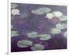 Waterlilies-Claude Monet-Framed Giclee Print