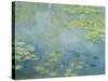 Waterlilies-Claude Monet-Stretched Canvas