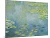 Waterlilies-Claude Monet-Mounted Giclee Print