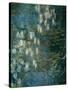 Waterlilies-Claude Monet-Stretched Canvas