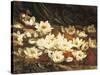 Waterlilies-William Jabez Muckley-Stretched Canvas