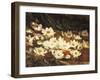 Waterlilies-William Jabez Muckley-Framed Giclee Print