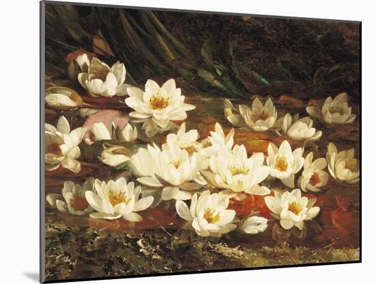 Waterlilies-William Jabez Muckley-Mounted Giclee Print