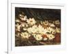 Waterlilies-William Jabez Muckley-Framed Giclee Print