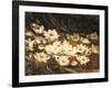 Waterlilies-William Jabez Muckley-Framed Giclee Print
