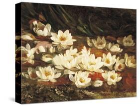 Waterlilies-William Jabez Muckley-Stretched Canvas