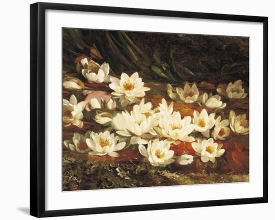 Waterlilies-William Jabez Muckley-Framed Giclee Print