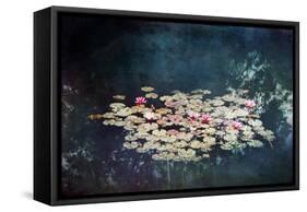 Waterlilies-Dirk Wuestenhagen-Framed Stretched Canvas