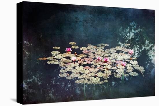 Waterlilies-Dirk Wuestenhagen-Stretched Canvas