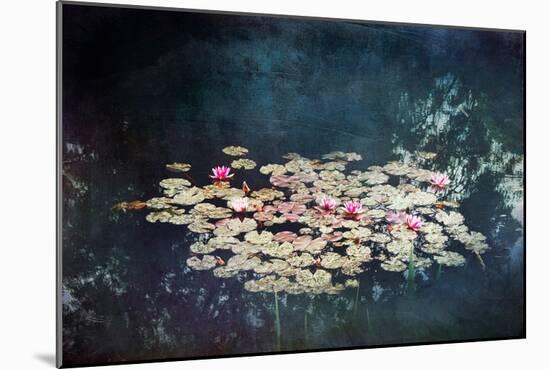 Waterlilies-Dirk Wuestenhagen-Mounted Art Print