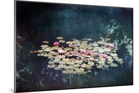 Waterlilies-Dirk Wuestenhagen-Mounted Art Print