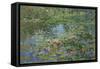 Waterlilies-Susan Ryder-Framed Stretched Canvas