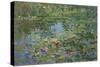 Waterlilies-Susan Ryder-Stretched Canvas