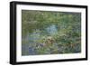 Waterlilies-Susan Ryder-Framed Giclee Print