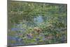 Waterlilies-Susan Ryder-Mounted Giclee Print