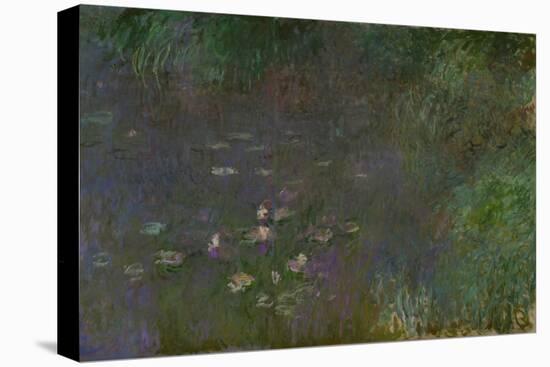 Waterlilies-Claude Monet-Stretched Canvas