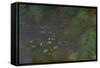 Waterlilies-Claude Monet-Framed Stretched Canvas