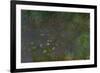 Waterlilies-Claude Monet-Framed Giclee Print