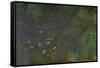 Waterlilies-Claude Monet-Framed Stretched Canvas