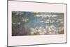 Waterlilies-Claude Monet-Mounted Art Print