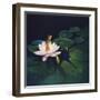 Waterlilies-Kirk Reinert-Framed Giclee Print