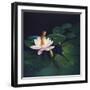 Waterlilies-Kirk Reinert-Framed Giclee Print