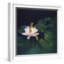 Waterlilies-Kirk Reinert-Framed Giclee Print