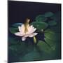 Waterlilies-Kirk Reinert-Mounted Giclee Print