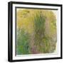 Waterlilies-Claude Monet-Framed Giclee Print