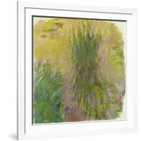 Waterlilies-Claude Monet-Framed Giclee Print