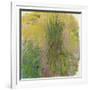 Waterlilies-Claude Monet-Framed Giclee Print