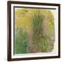 Waterlilies-Claude Monet-Framed Giclee Print