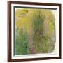 Waterlilies-Claude Monet-Framed Giclee Print