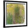 Waterlilies-Claude Monet-Framed Giclee Print