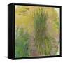 Waterlilies-Claude Monet-Framed Stretched Canvas