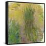 Waterlilies-Claude Monet-Framed Stretched Canvas