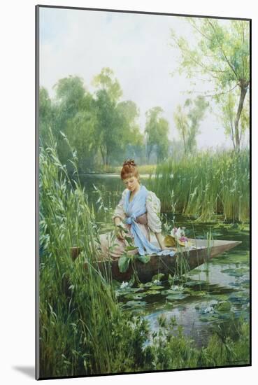 Waterlillies-Alfred Augustus Glendening II-Mounted Giclee Print