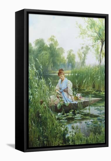 Waterlillies-Alfred Augustus Glendening II-Framed Stretched Canvas