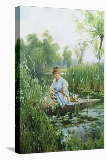 Waterlillies-Alfred Augustus Glendening II-Stretched Canvas