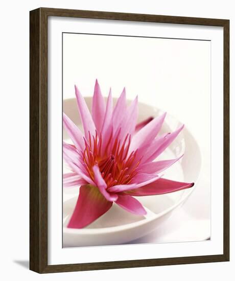 Waterlily and Bowl-null-Framed Art Print
