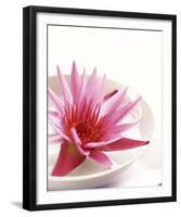 Waterlily and Bowl-null-Framed Art Print