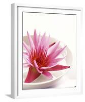 Waterlily and Bowl-null-Framed Art Print