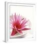 Waterlily and Bowl-null-Framed Art Print