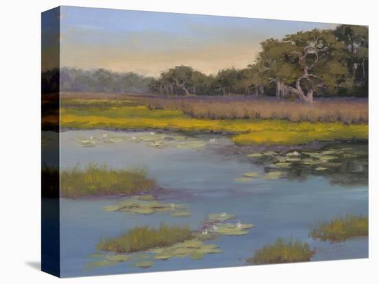 Waterlily Bay-Jill Schultz McGannon-Stretched Canvas