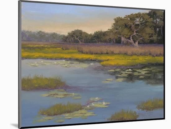 Waterlily Bay-Jill Schultz McGannon-Mounted Art Print