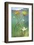 Waterlily flower which has opened underwater in a lake. Alps, Ain, France-Remi Masson-Framed Photographic Print