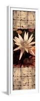 Waterlily Panel I-John Seba-Framed Premium Giclee Print