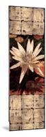 Waterlily Panel I-John Seba-Mounted Premium Giclee Print